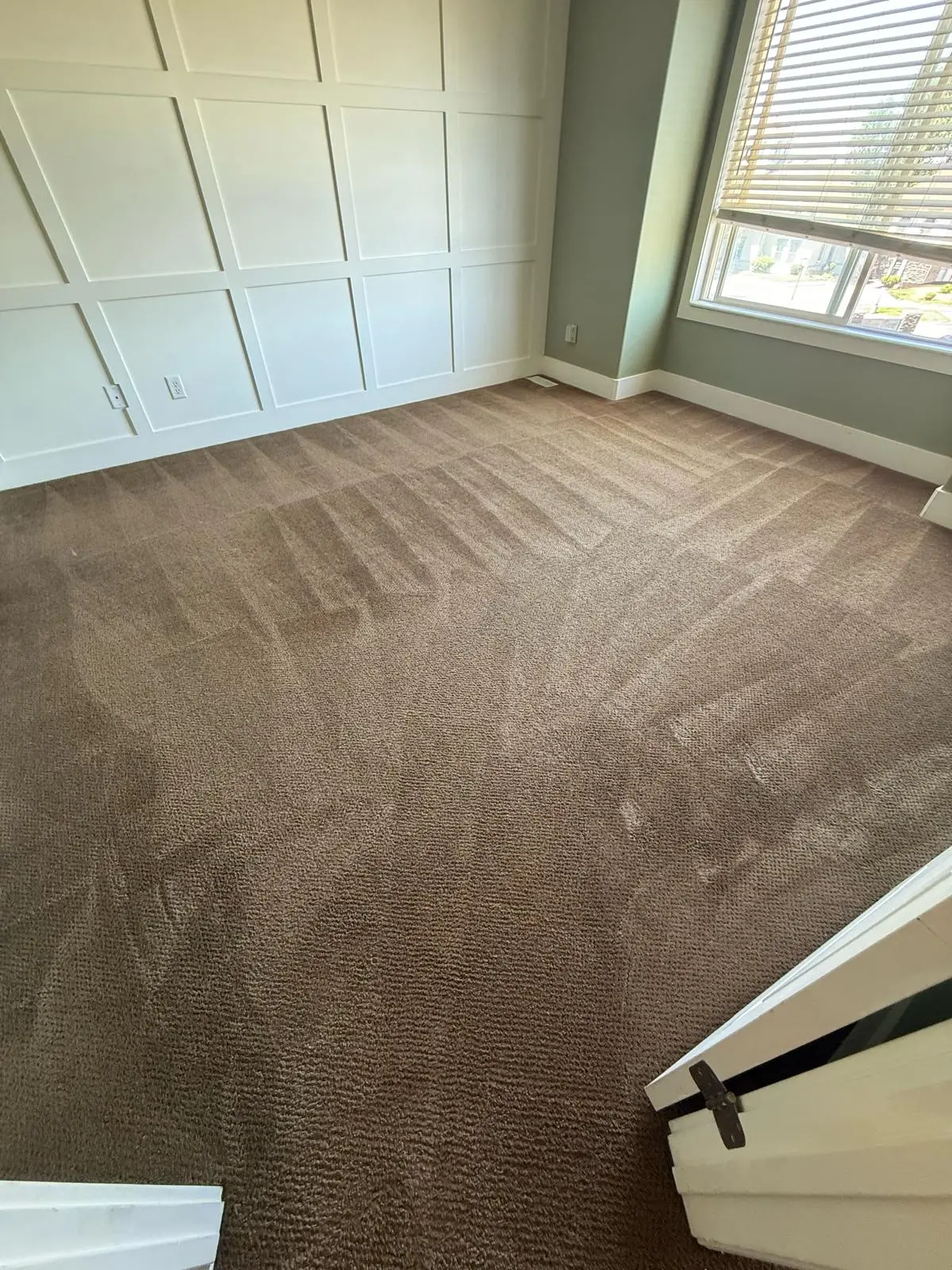 Carpet cleaning offer by Extreme Clean & Handyman: Deep carpet cleaning to refresh and maintain your floors.